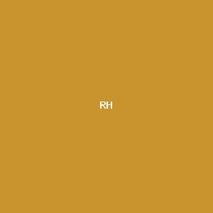 Rahma Hidayati